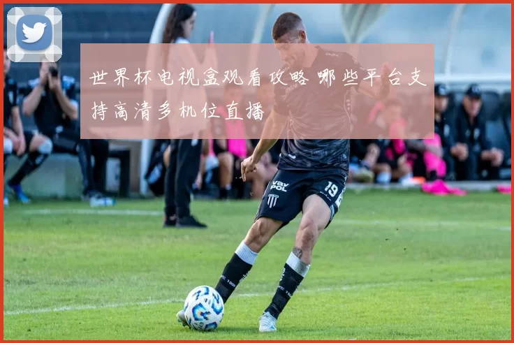 世界杯电视盒观看攻略 哪些平台支持高清多机位直播