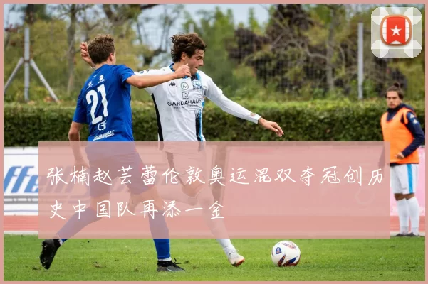 张楠赵芸蕾伦敦奥运混双夺冠创历史中国队再添一金