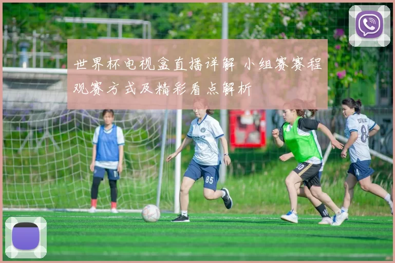 世界杯电视盒直播详解 小组赛赛程观赛方式及精彩看点解析