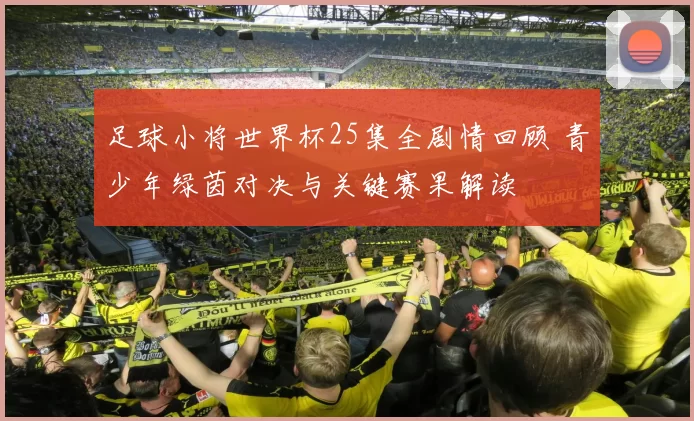 足球小将世界杯25集全剧情回顾 青少年绿茵对决与关键赛果解读